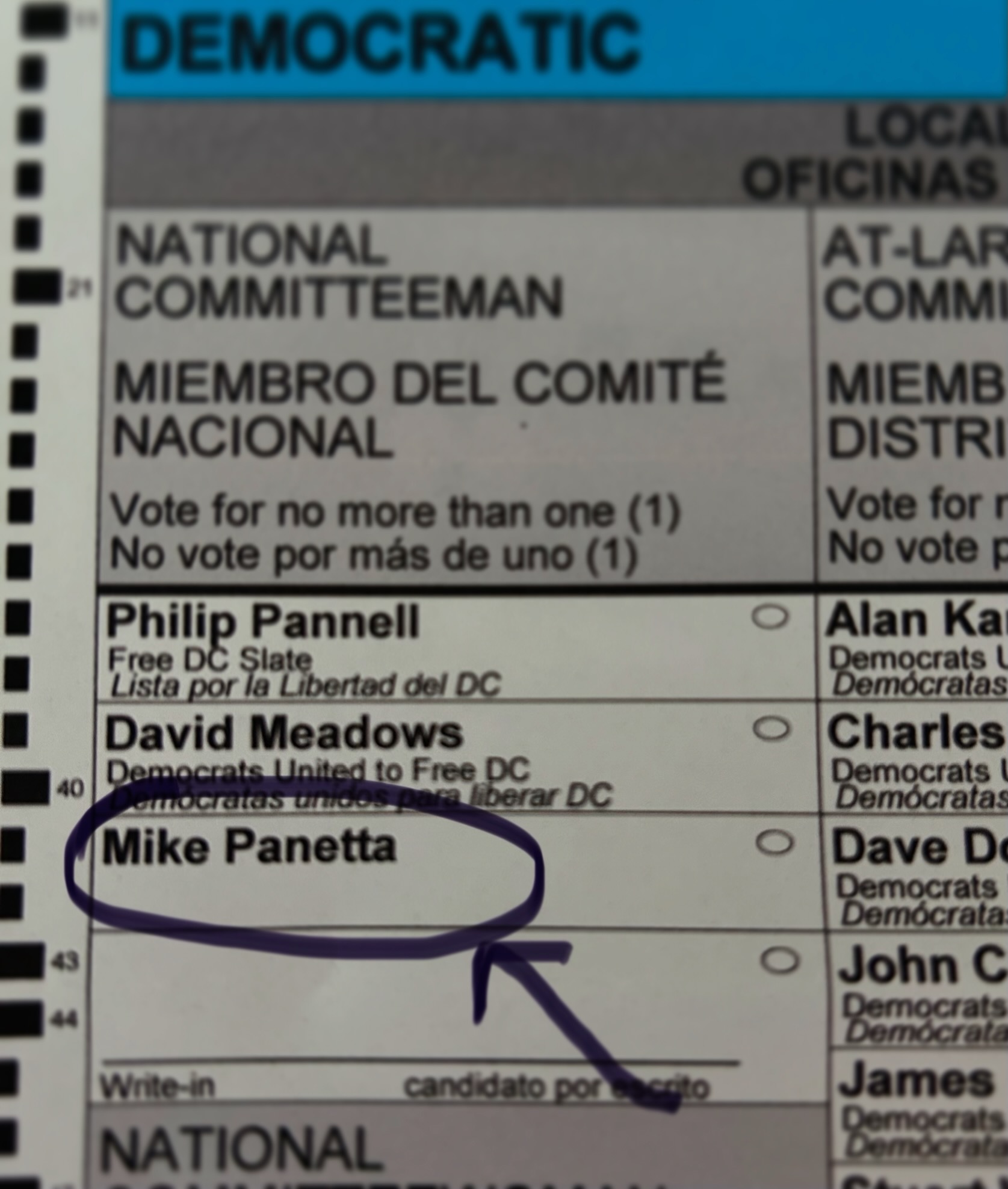 DC Democratic ballot showing Mike Panetta for National Committeeman